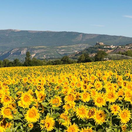 Serre Des Ormes - Cycling, Walking & Running Retreat Salerans Bagian luar foto